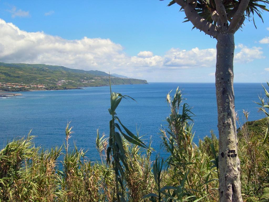 Casa Quinta Do Marques Villa Ponta Delgada  Luaran gambar