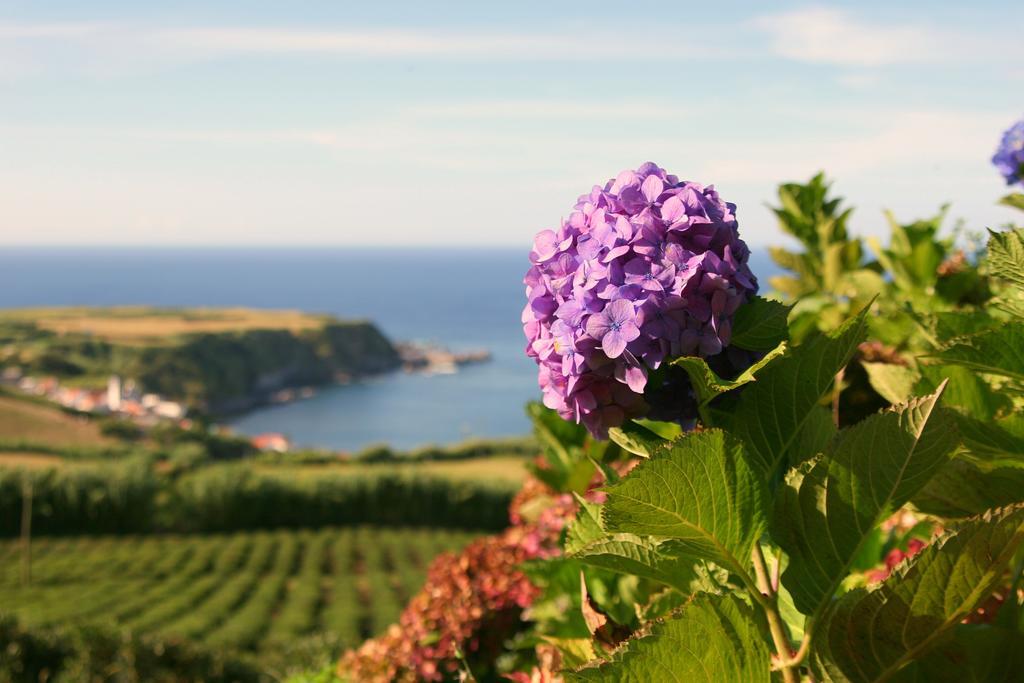 Casa Quinta Do Marques Villa Ponta Delgada  Luaran gambar